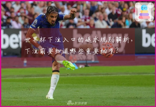 世界杯下注入口的返水规则解析，下注前要知道哪些重要细节？