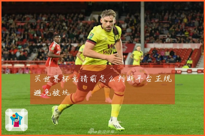 买世界杯竞猜前怎么判断平台正规避免被坑