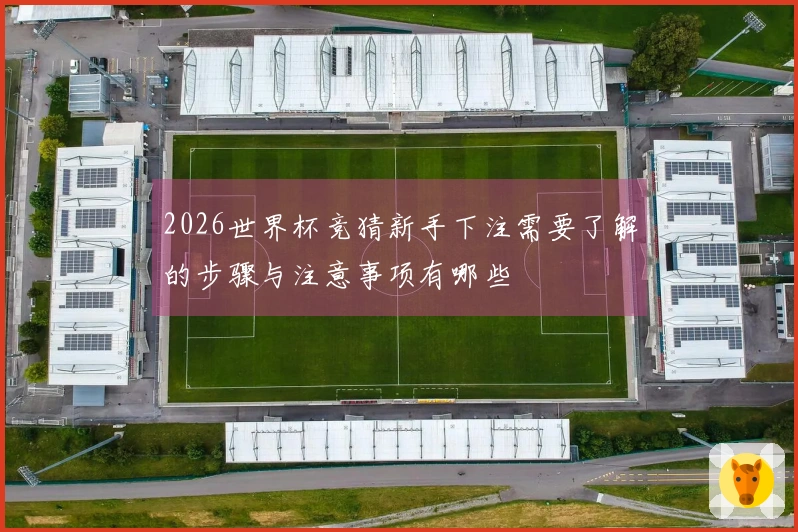 2026世界杯竞猜新手下注需要了解的步骤与注意事项有哪些