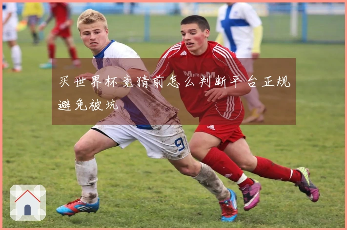 买世界杯竞猜前怎么判断平台正规避免被坑